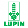 Lupin